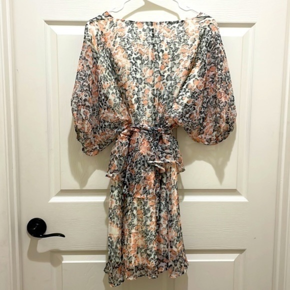 She & Sky V-Neck Coral and Gray Leopard Print Dress - Picture 6 of 8